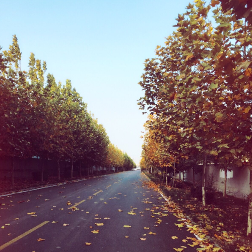 �P�ܿƼ�