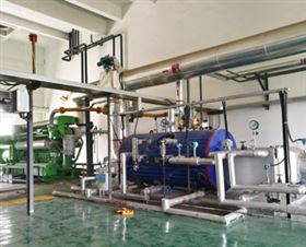 1000kW 沼气发电机组余热锅炉